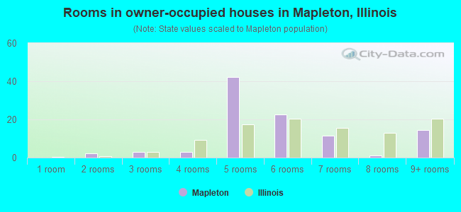 Rooms in owner-occupied houses in Mapleton, Illinois