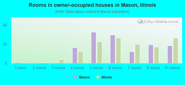 Rooms in owner-occupied houses in Mason, Illinois