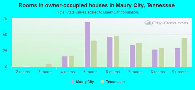 Rooms in owner-occupied houses in Maury City, Tennessee