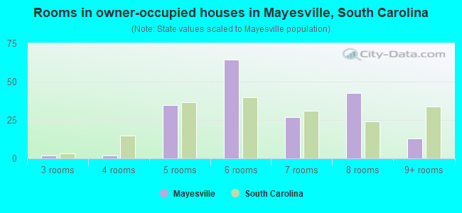 Rooms in owner-occupied houses in Mayesville, South Carolina