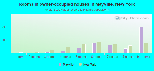 Rooms in owner-occupied houses in Mayville, New York