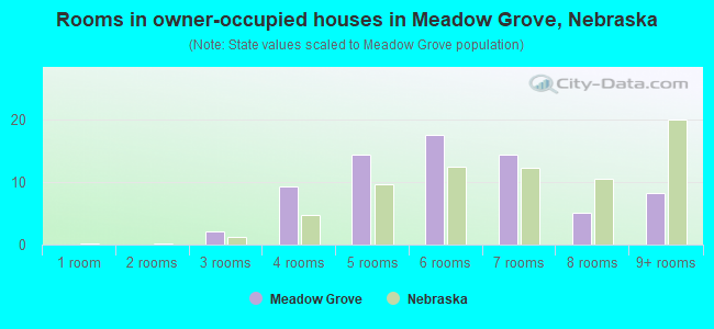 Rooms in owner-occupied houses in Meadow Grove, Nebraska