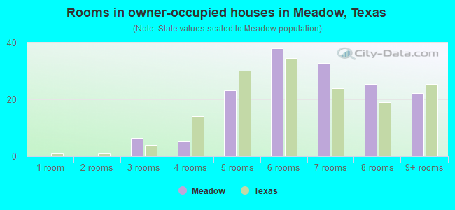 Rooms in owner-occupied houses in Meadow, Texas