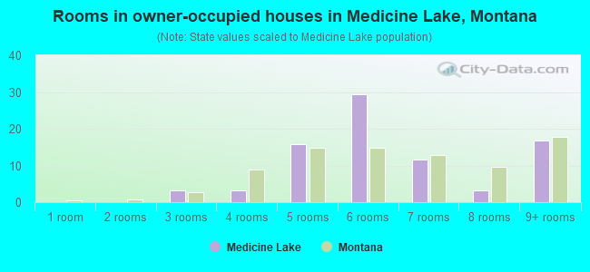 Rooms in owner-occupied houses in Medicine Lake, Montana