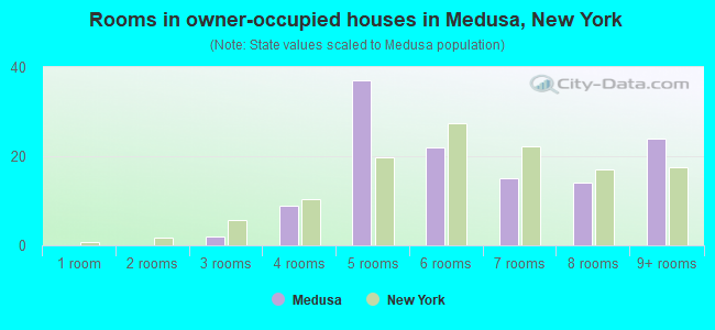 Rooms in owner-occupied houses in Medusa, New York
