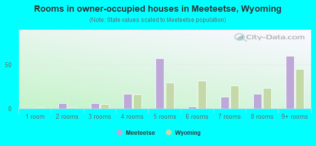 Rooms in owner-occupied houses in Meeteetse, Wyoming