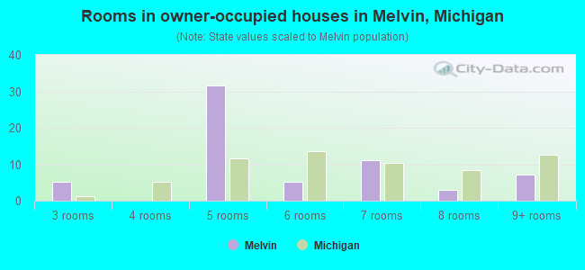 Rooms in owner-occupied houses in Melvin, Michigan