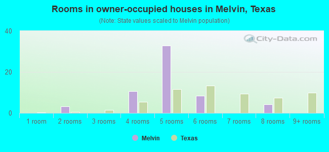 Rooms in owner-occupied houses in Melvin, Texas