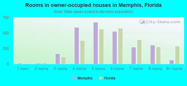 Rooms in owner-occupied houses in Memphis, Florida
