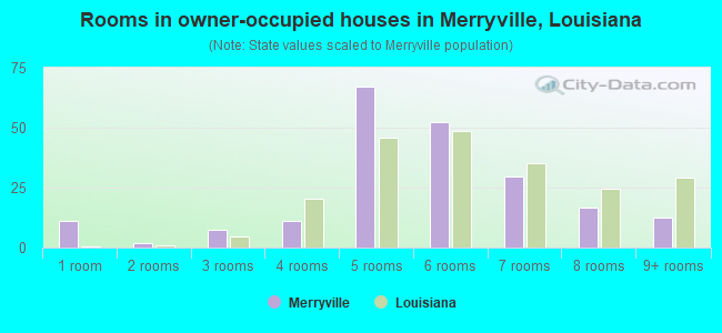 Rooms in owner-occupied houses in Merryville, Louisiana