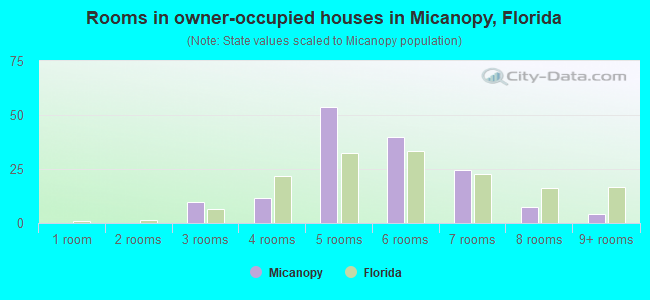 Rooms in owner-occupied houses in Micanopy, Florida