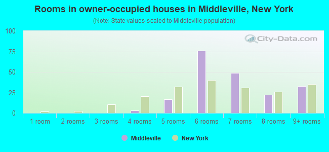 Rooms in owner-occupied houses in Middleville, New York