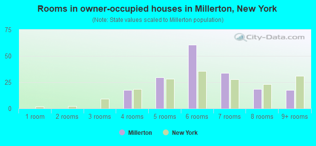 Rooms in owner-occupied houses in Millerton, New York