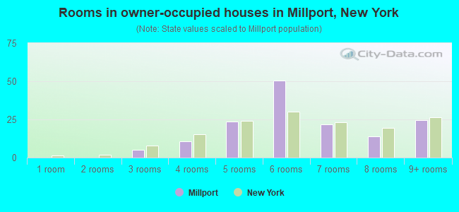 Rooms in owner-occupied houses in Millport, New York