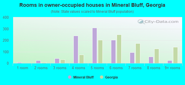 Rooms in owner-occupied houses in Mineral Bluff, Georgia