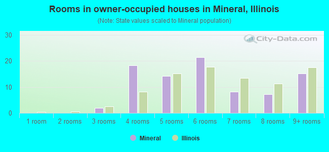 Rooms in owner-occupied houses in Mineral, Illinois