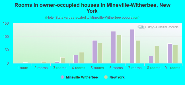 Rooms in owner-occupied houses in Mineville-Witherbee, New York