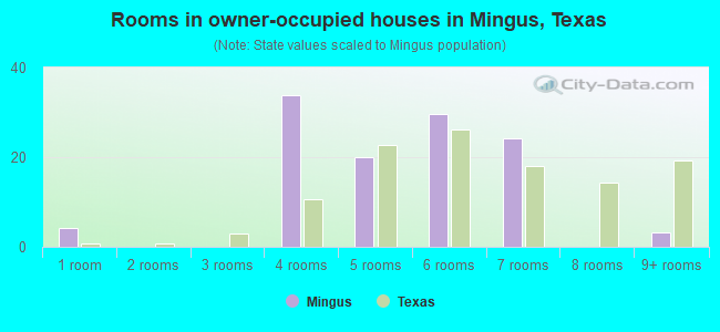 Rooms in owner-occupied houses in Mingus, Texas