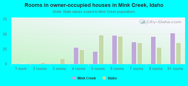 Rooms in owner-occupied houses in Mink Creek, Idaho
