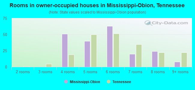 Rooms in owner-occupied houses in Mississippi-Obion, Tennessee