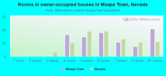 Rooms in owner-occupied houses in Moapa Town, Nevada