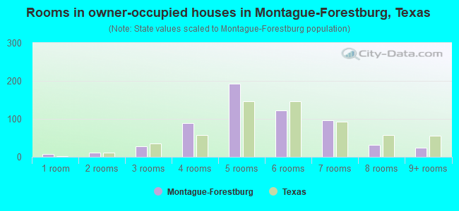 Rooms in owner-occupied houses in Montague-Forestburg, Texas