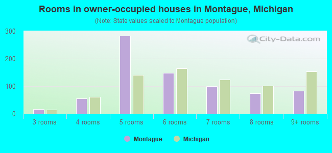 Rooms in owner-occupied houses in Montague, Michigan