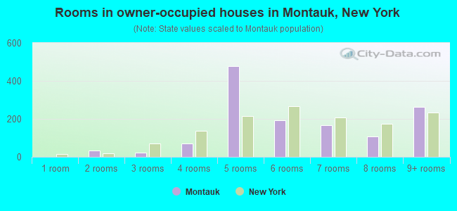 Rooms in owner-occupied houses in Montauk, New York