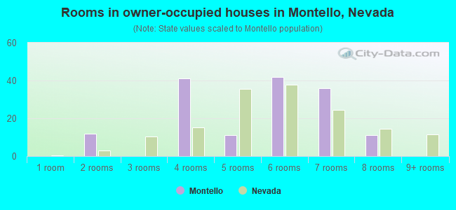 Rooms in owner-occupied houses in Montello, Nevada