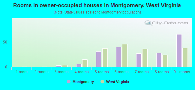 Rooms in owner-occupied houses in Montgomery, West Virginia