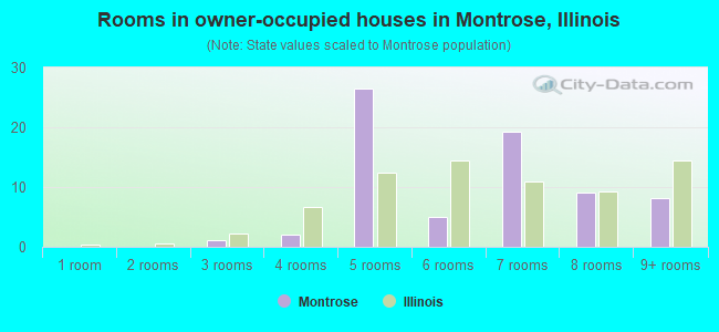 Rooms in owner-occupied houses in Montrose, Illinois
