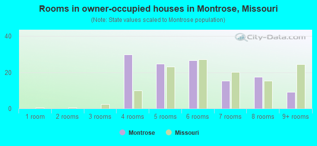 Rooms in owner-occupied houses in Montrose, Missouri