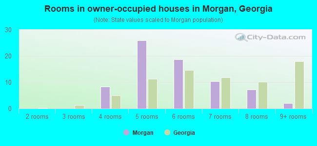 Rooms in owner-occupied houses in Morgan, Georgia