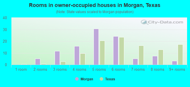 Rooms in owner-occupied houses in Morgan, Texas