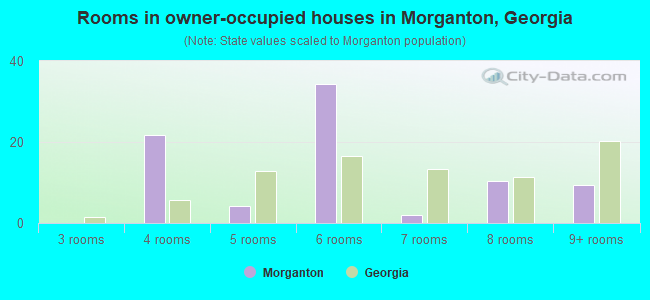 Rooms in owner-occupied houses in Morganton, Georgia