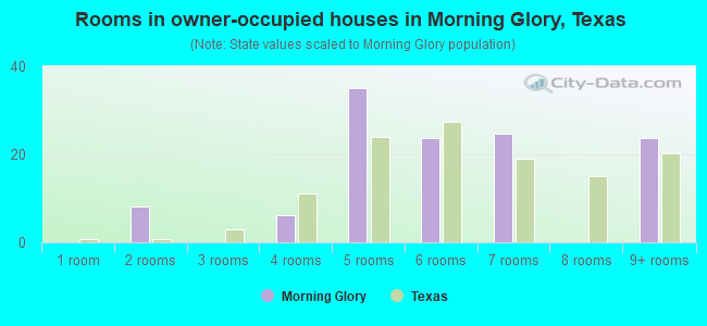 Rooms in owner-occupied houses in Morning Glory, Texas