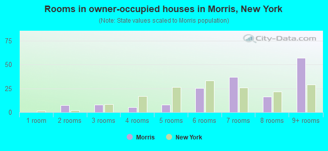 Rooms in owner-occupied houses in Morris, New York