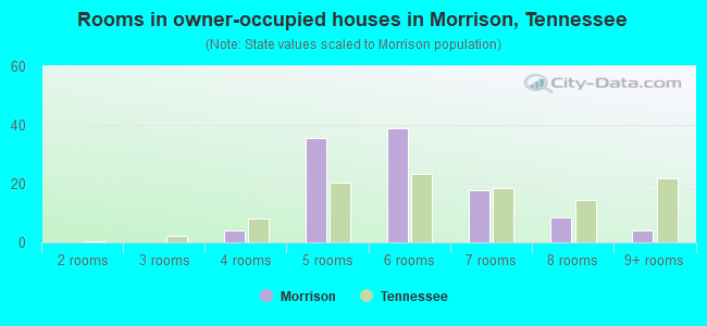 Rooms in owner-occupied houses in Morrison, Tennessee