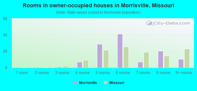 Rooms in owner-occupied houses in Morrisville, Missouri