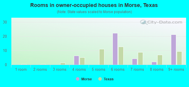 Rooms in owner-occupied houses in Morse, Texas