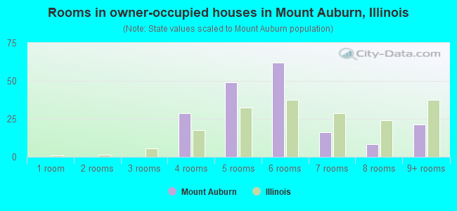 Rooms in owner-occupied houses in Mount Auburn, Illinois