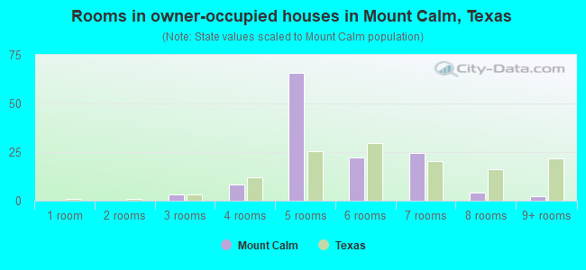 Rooms in owner-occupied houses in Mount Calm, Texas