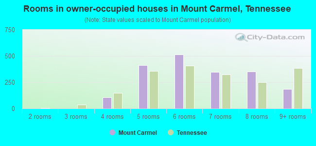 Rooms in owner-occupied houses in Mount Carmel, Tennessee