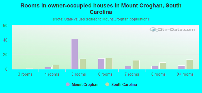 Rooms in owner-occupied houses in Mount Croghan, South Carolina