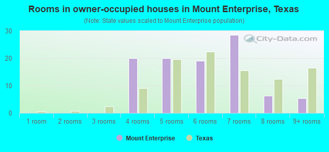 Rooms in owner-occupied houses in Mount Enterprise, Texas