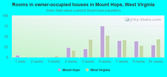 Rooms in owner-occupied houses in Mount Hope, West Virginia