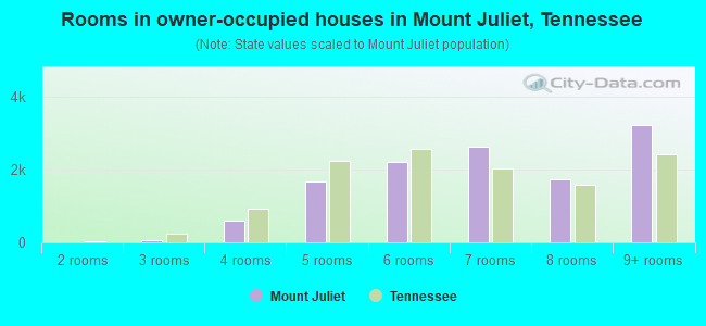 Rooms in owner-occupied houses in Mount Juliet, Tennessee