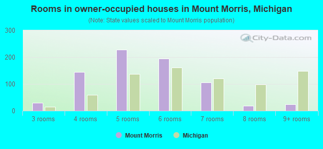 Rooms in owner-occupied houses in Mount Morris, Michigan
