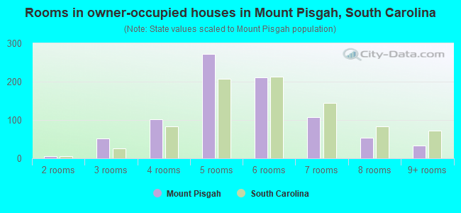 Rooms in owner-occupied houses in Mount Pisgah, South Carolina