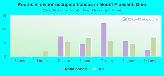 Rooms in owner-occupied houses in Mount Pleasant, Ohio